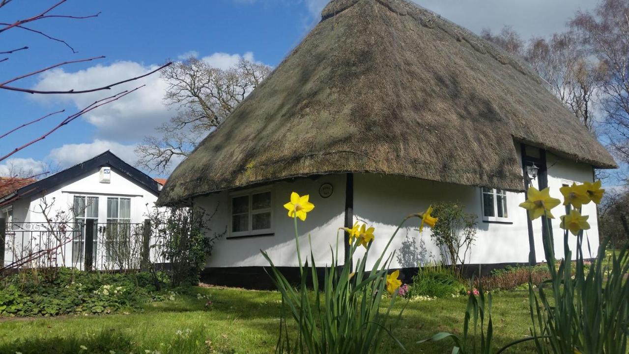 Frogs Hall B&B Eye  エクステリア 写真